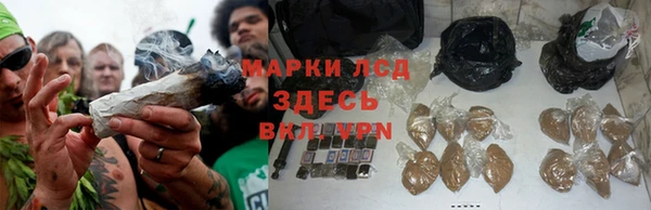 прущие крисы Семилуки