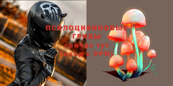гашик Балахна