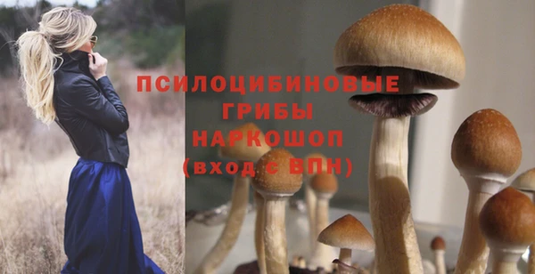 гашик Балахна